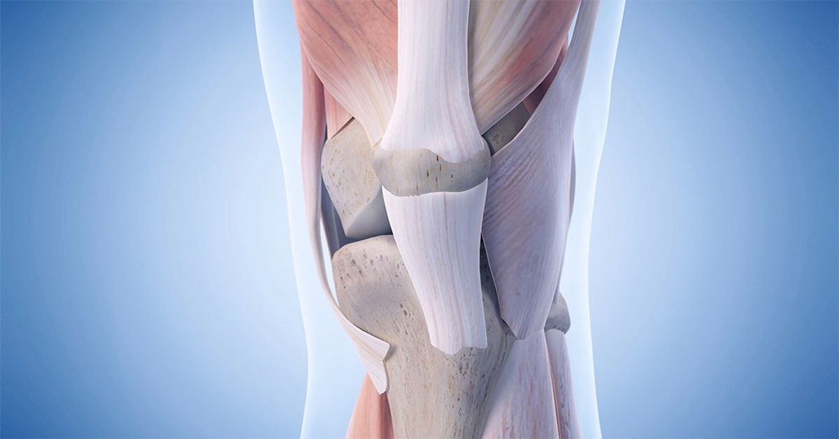 Ön Çapraz Bağ Yaralanması Ön Çapraz Bağ Yaralanması